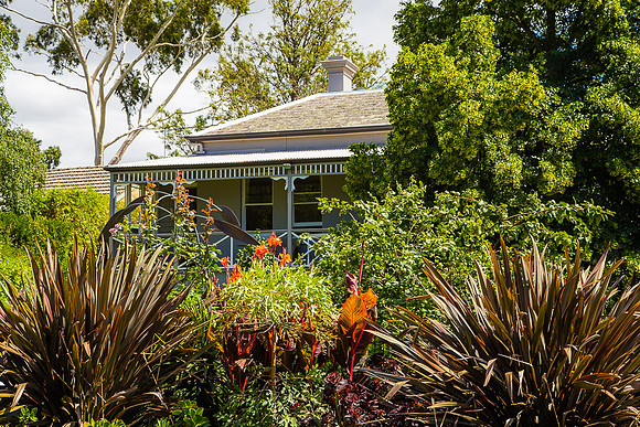 Alphington garden-028