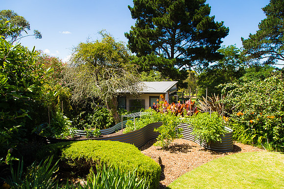 Alphington garden-075