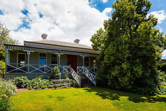 Alphington garden-076