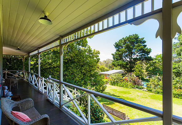 Alphington garden-098