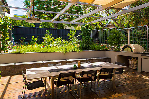 Alphington garden-111
