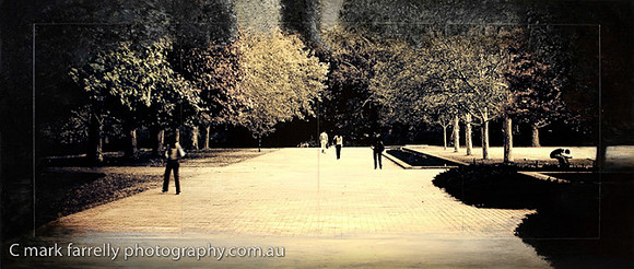 Pathway_of_Light