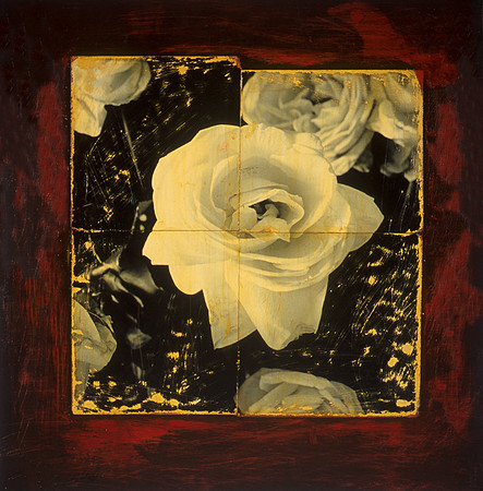 rose 2