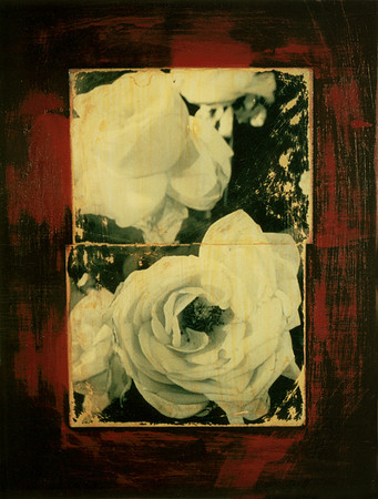 rosefive