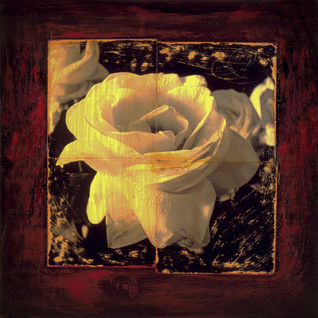 roseone