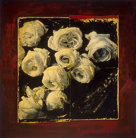 Roses 3