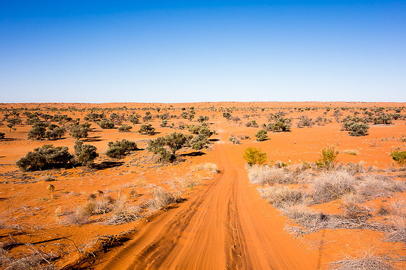 Simpson_desert-539