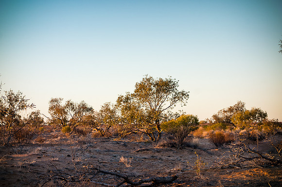 Simpson_desert-698
