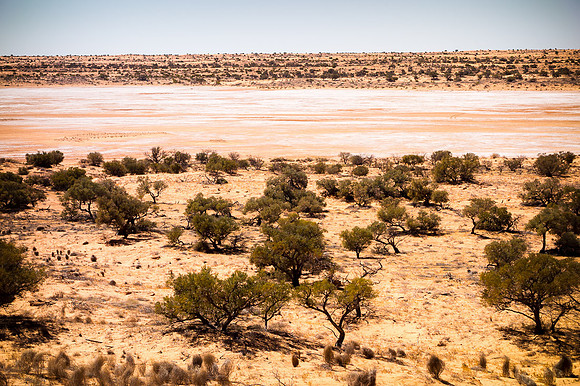 Simpson_desert-506