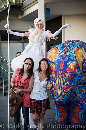 Aust Day 2014-620